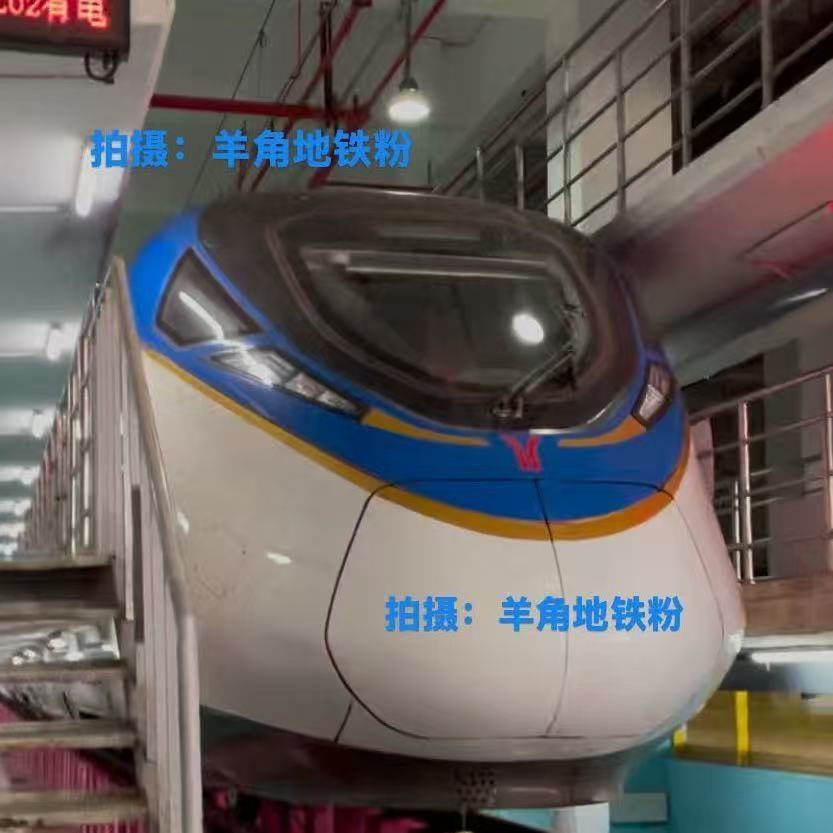 图片10