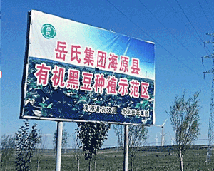 崔晓辉第二小节图片